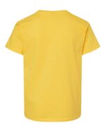 Youth Softstyle® T Shirt