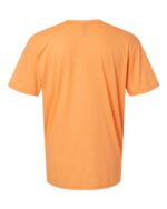 Unisex Softstyle® CVC T Shirt
