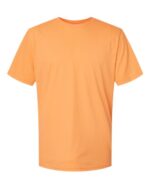Unisex Softstyle® CVC T Shirt