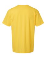 Unisex Softstyle® CVC T Shirt