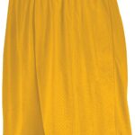 7 Inch Modified Mesh Shorts