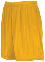 7 Inch Modified Mesh Shorts
