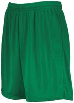 7 Inch Modified Mesh Shorts