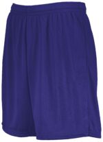 7 Inch Modified Mesh Shorts