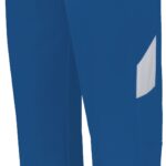 Limitless Pant