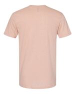 Unisex Softstyle® CVC T Shirt