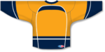 Pro Hockey Jerseys H550D-NAS-G01
