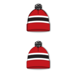 Hockey Toque A1830-G04