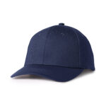 Apparel Caps AH500-G01
