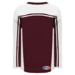 Pro Hockey Jerseys H550C-PET480C