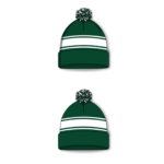 Hockey Toque A1830-G01