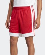 Single Ply 5 Basketball Shorts worn by a model